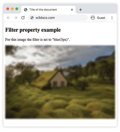 Una imagen con el filtro CSS blur(3px) aplicado