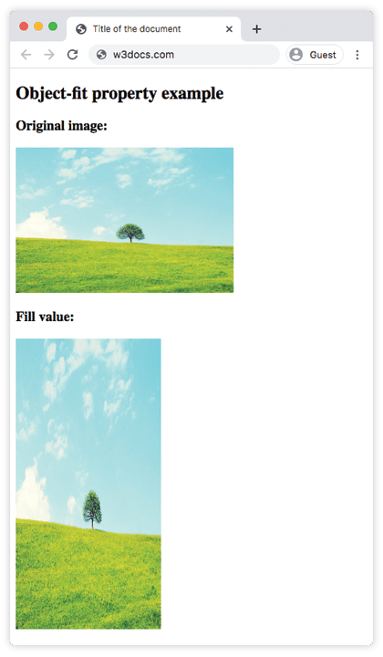 El valor fill de CSS object-fit estirando una imagen